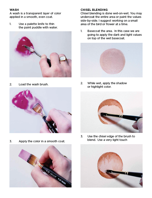 Beginner Blooms Ebook