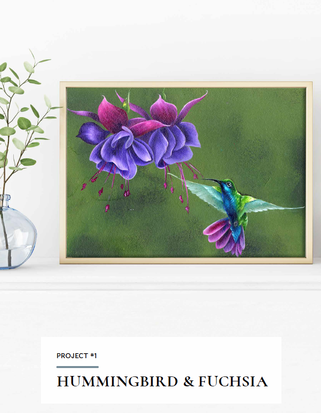 Learn to Paint Vibrant Hummingbirds Ebook