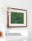 Learn to Paint Vibrant Hummingbirds Ebook
