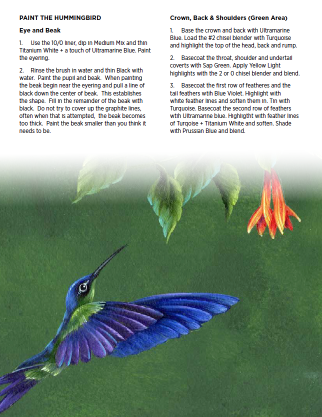 Learn to Paint Vibrant Hummingbirds Ebook
