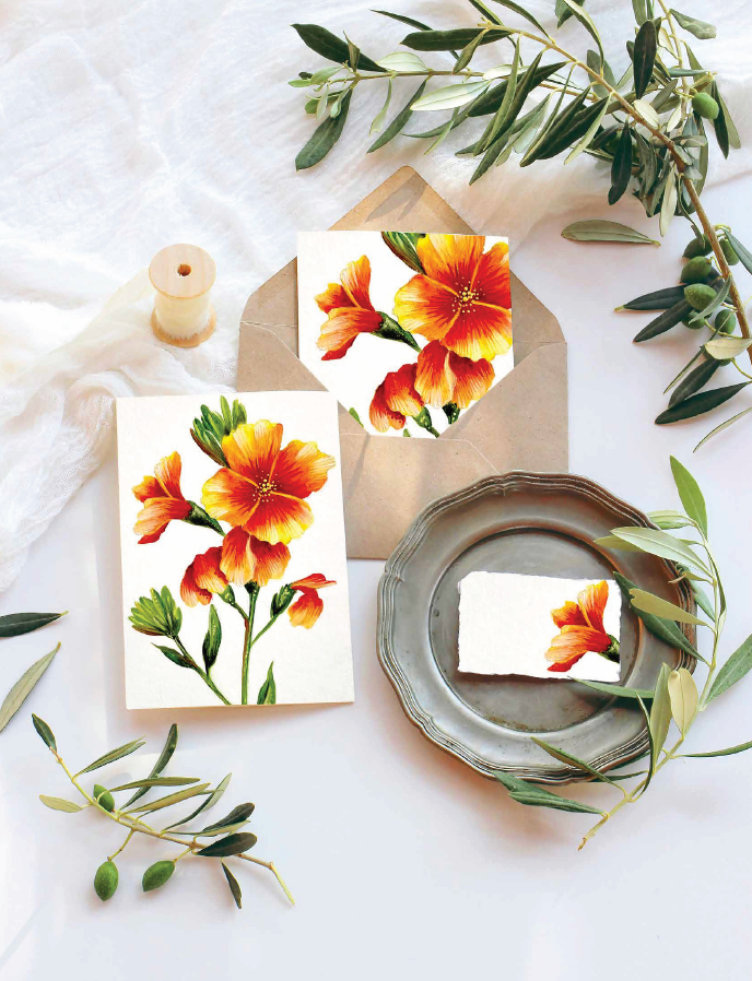 Botanicals For Beginners Ebook