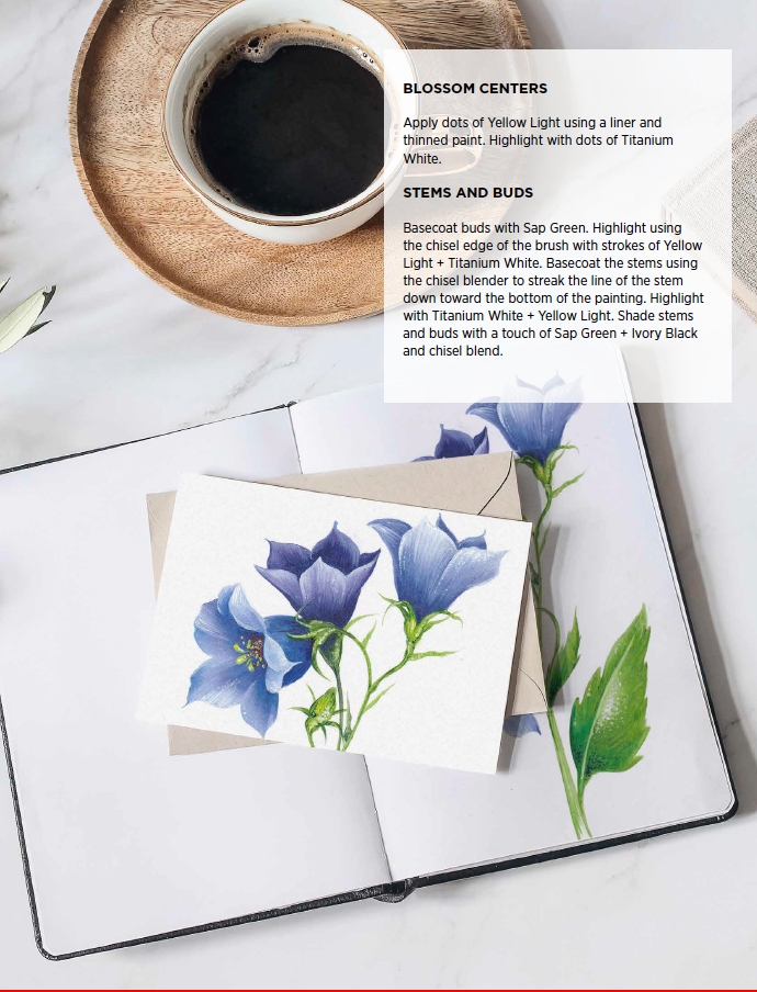 Botanicals For Beginners Ebook