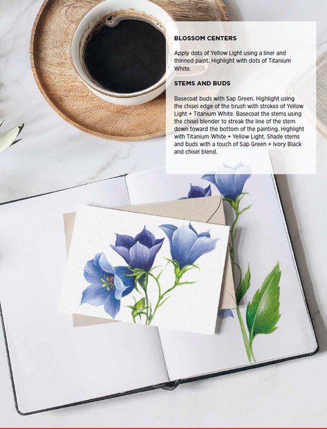 Botanicals For Beginners Ebook