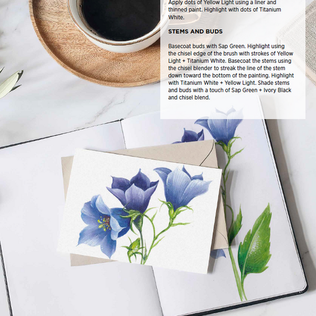 Botanicals For Beginners Ebook