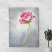 Canvas print of a pink rose on a gray background, displayed on a wall.