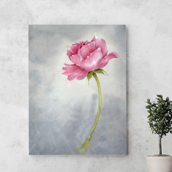 Canvas print of a pink rose on a gray background, displayed on a wall.