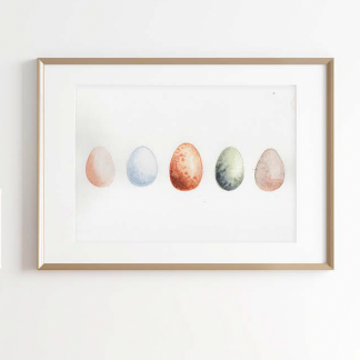 Watercolor Birds for Beginners Course