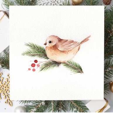 Watercolor Birds for Beginners Course