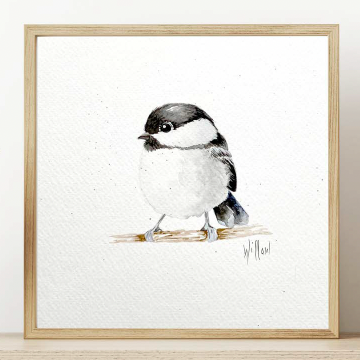 Watercolor Birds for Beginners Course