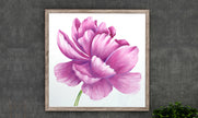 Stroke Blended Peony Petals