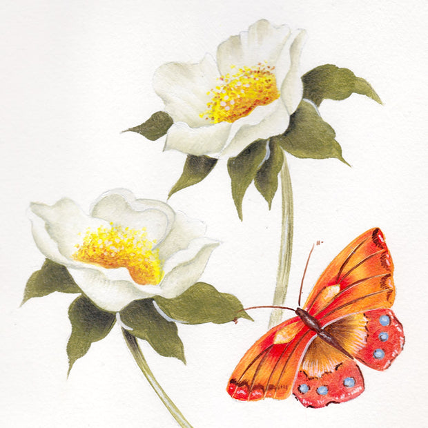 Butterfly perched on a branch with white flowers and green leaves on a light background