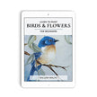 Quick & Easy Painting ™ Birds & Flowers for Beginners Ebook