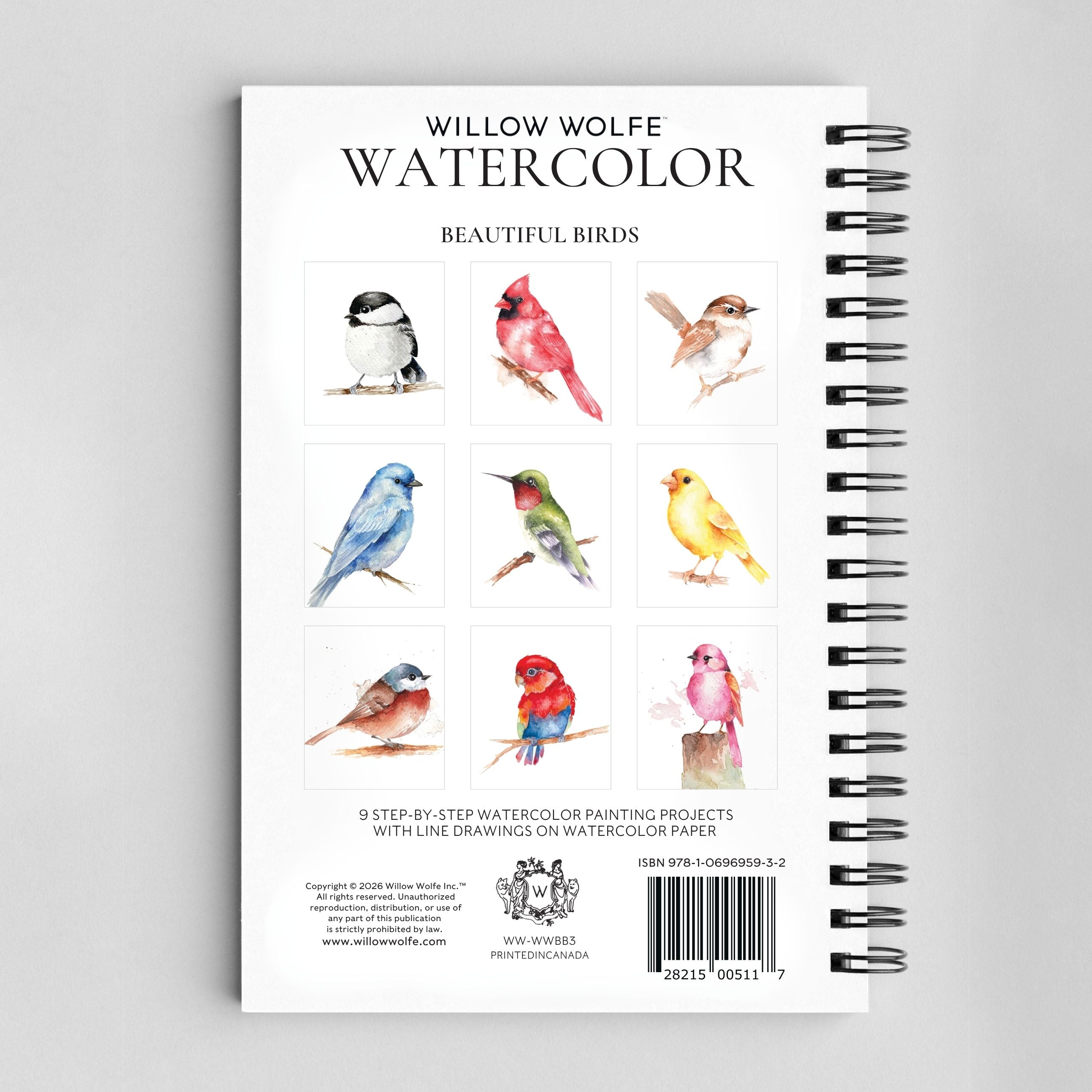 Beautiful Birds Watercolor Workbook by Willow Wolfe