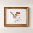 Paint a Watercolor Wren from Willow's Beautiful Birds Watercolor Workbook