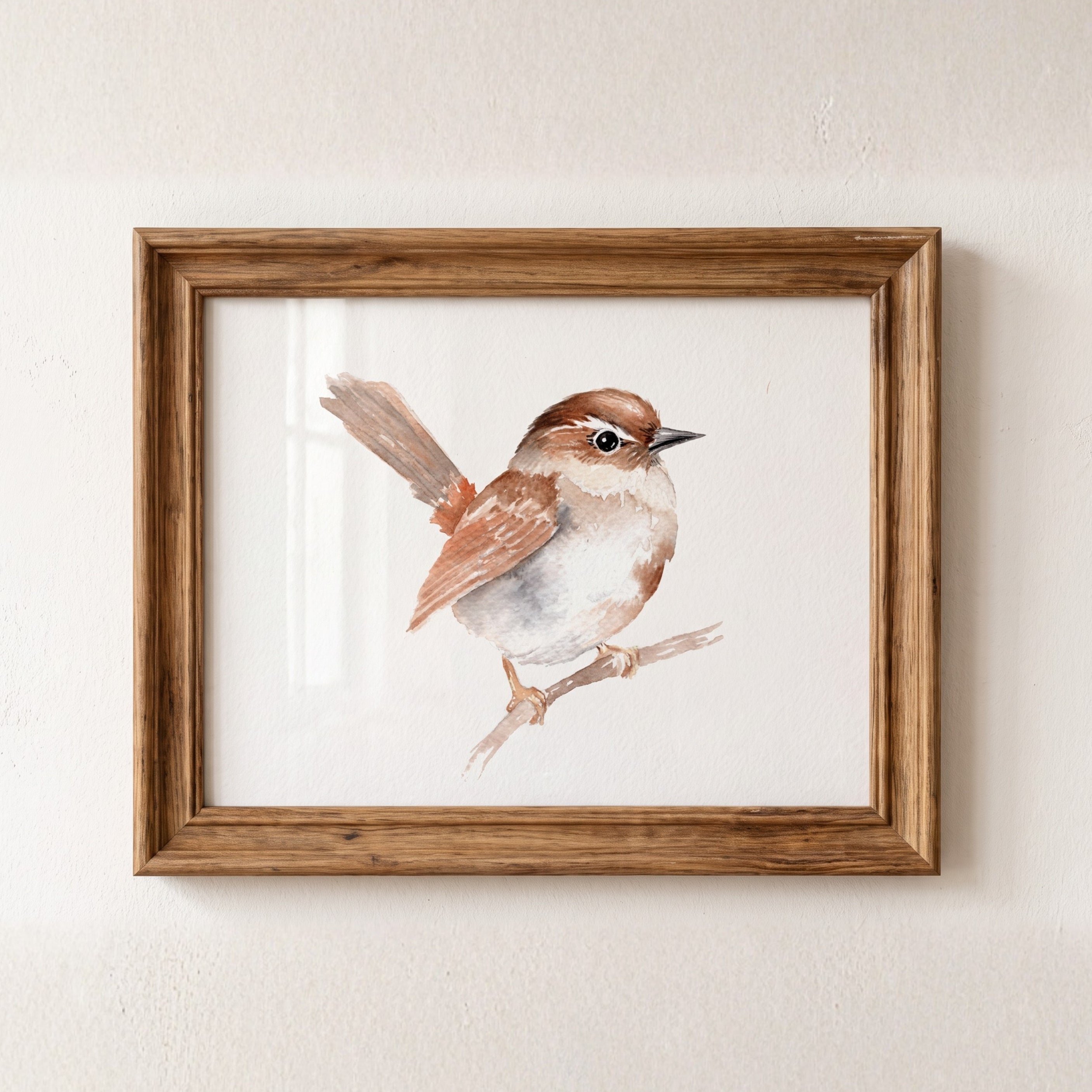 Paint a Watercolor Wren from Willow's Beautiful Birds Watercolor Workbook
