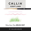Callia® Script Liner, Synthetic Sable Artist Brushes: Willow Wolfe
