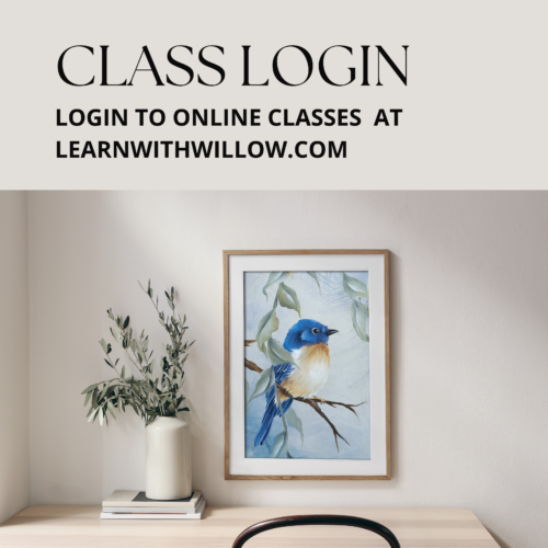 Class Login
