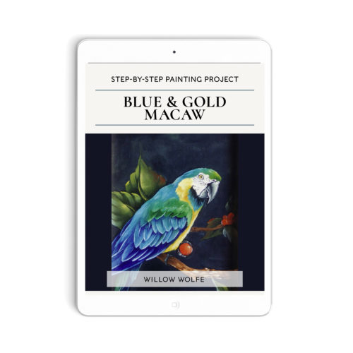 Blue & Gold Macaw