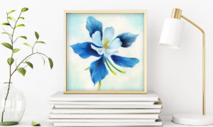 Beginner Blooms Class Picture of Blue Columbine