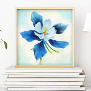 Beginner Blooms Class Picture of Blue Columbine