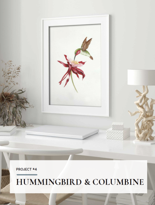 Quick & Easy Painting ™ Birds & Flowers for Beginners Ebook