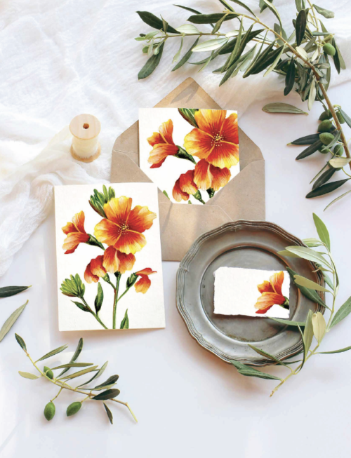 Botanicals For Beginners Ebook