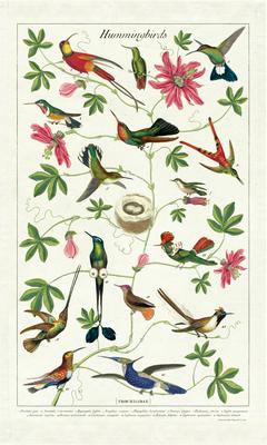 Hummingbird Vintage Painting Cloth or Tea Towel