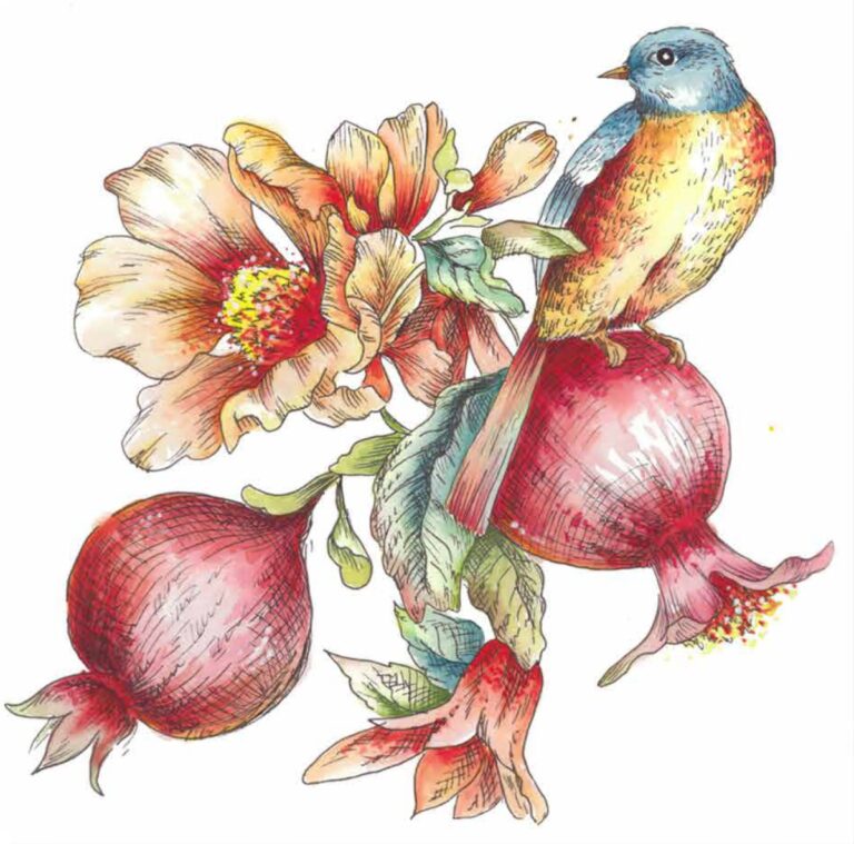 Bird & Pomegranite